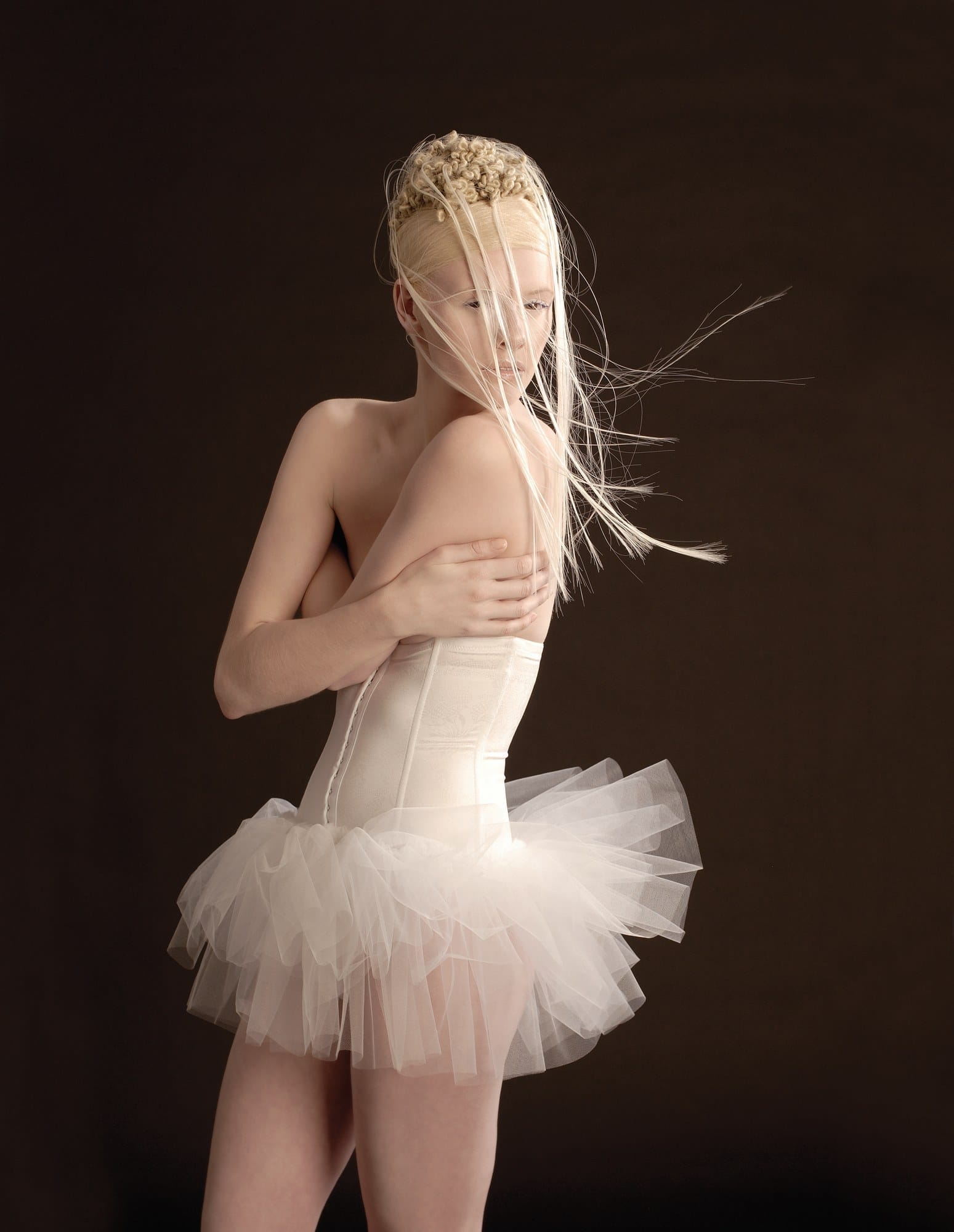 Balletic up-do and trailing strands echoing a body in motion – Dancers, Jason Kearns 2006