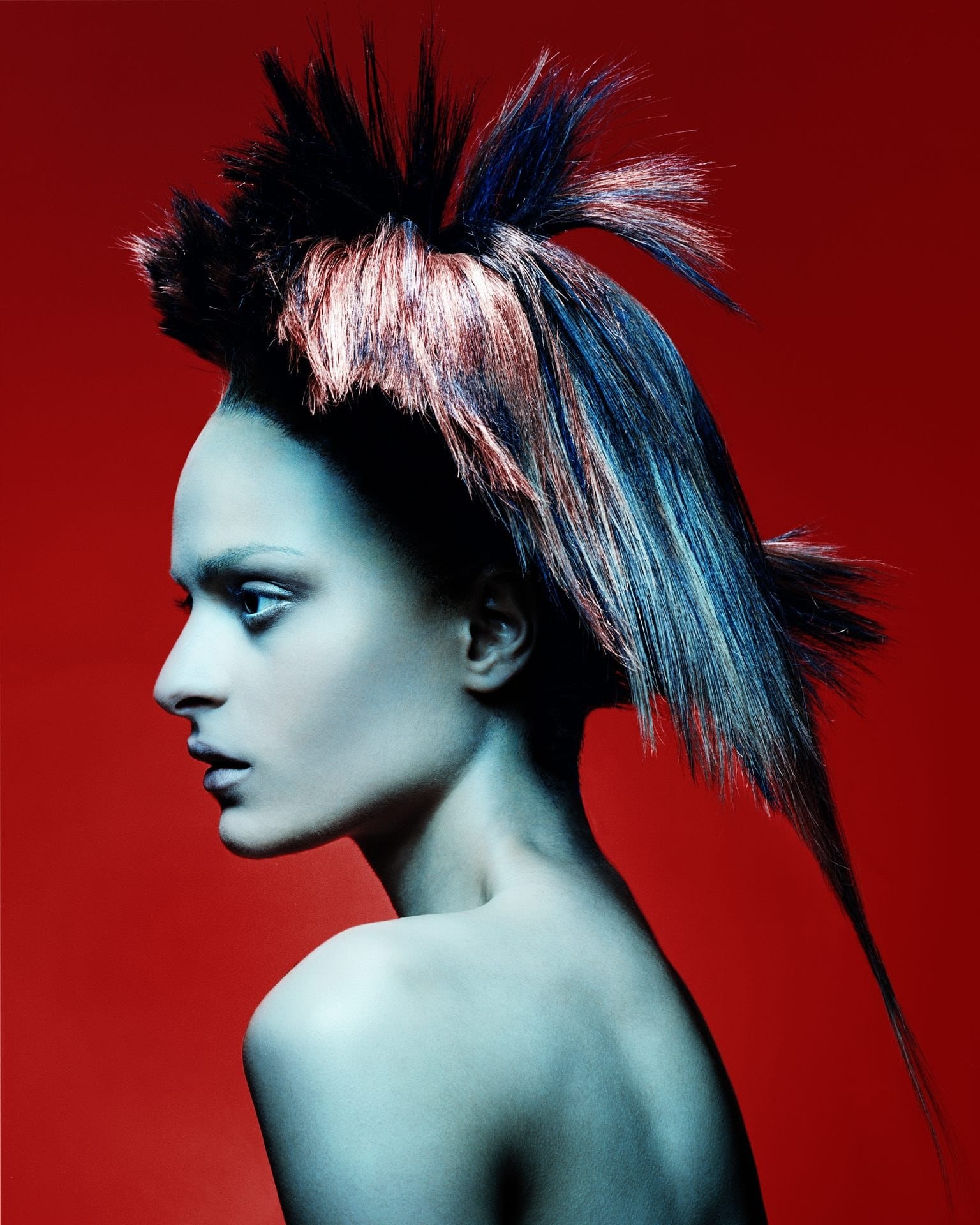 Bold organic shape – Wilderness by Karen Brown, photography Alessandro Cechini