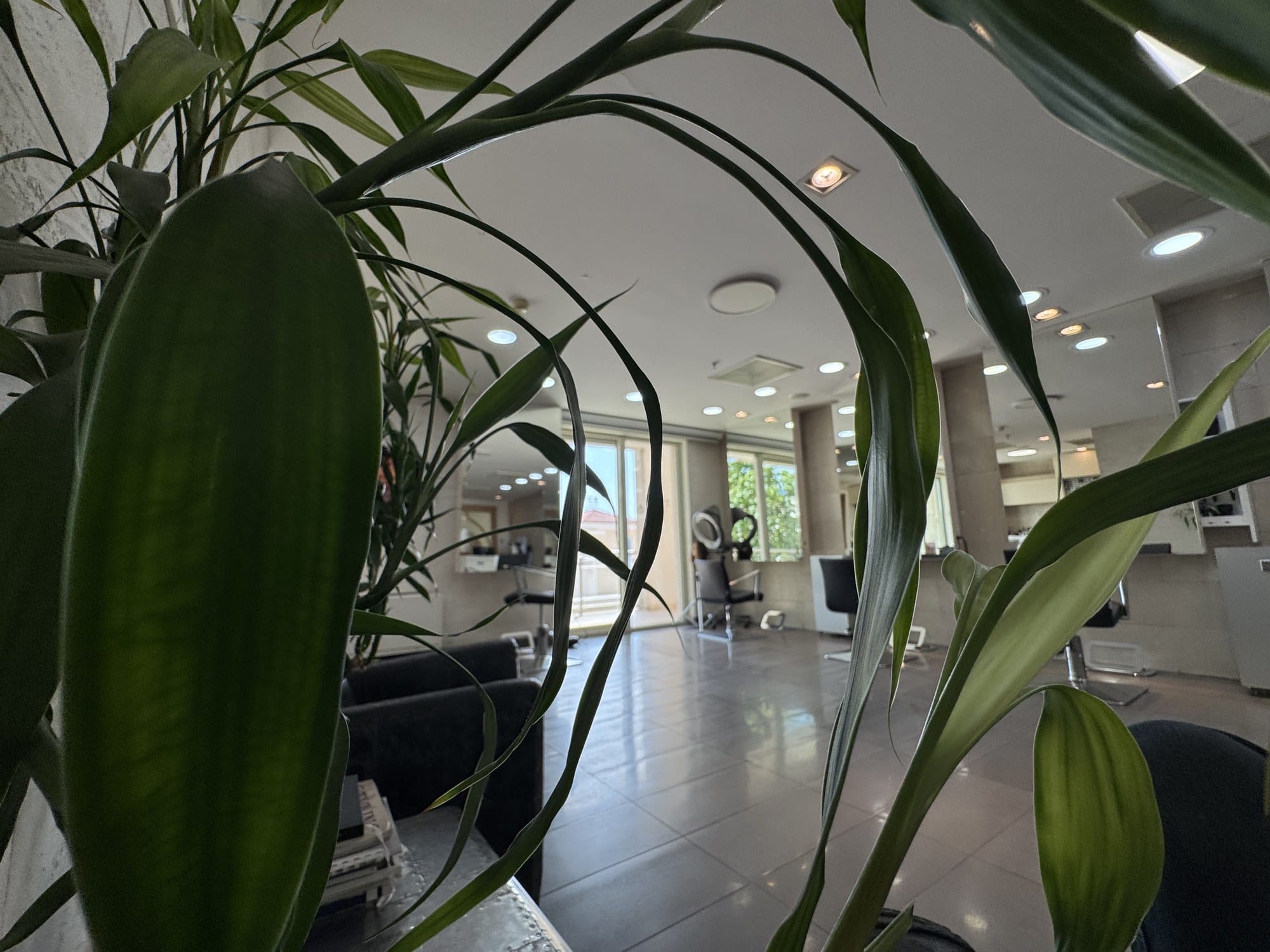Bjelica Hair salon interior